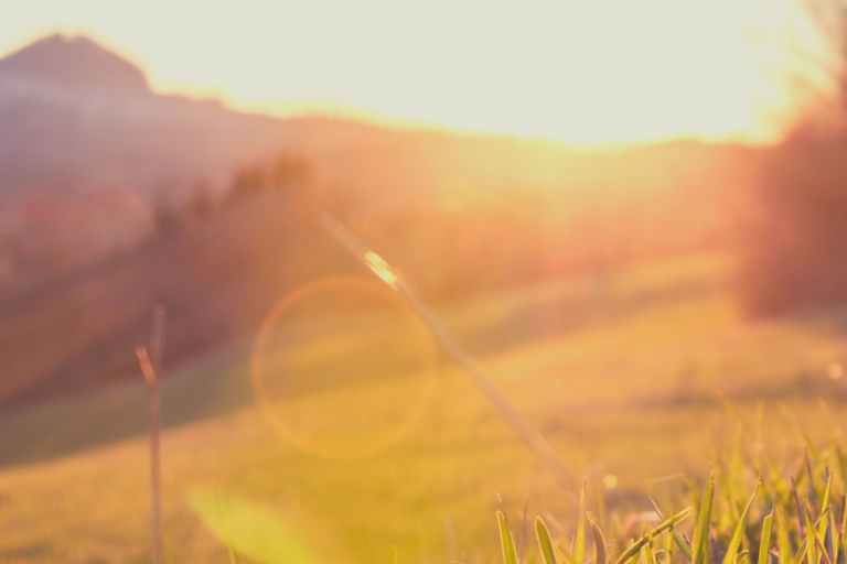 The Sunshine Vitamin: What you may not know about Vitamin D