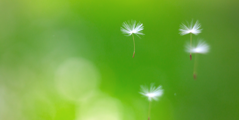 Seasonal allergy: all tips you need to know to beat it!